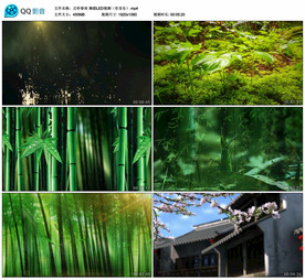 且吟春雨 舞蹈舞台背景视频成品