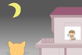 小猫流浪记3分钟动画