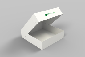 服装外包装箱样机