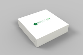 披萨包装盒样机