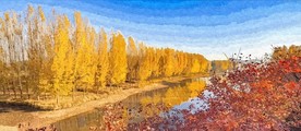装饰画