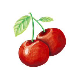 手绘水彩樱桃图片