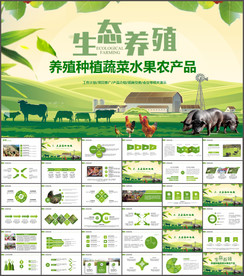生态养殖生态养猪PPT