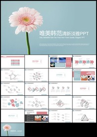 手绘小雏菊清新花朵说课公开课