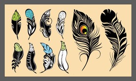 矢量手绘羽毛设计