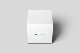 糕点心礼盒包装样机