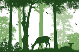 北欧森林插画背景墙