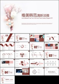 创意唯美韩范手绘小清新总结计划