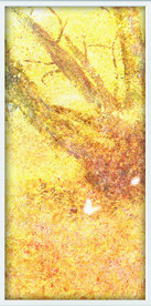 装饰画