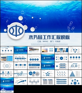 水利资源局水利局工作汇报PPT