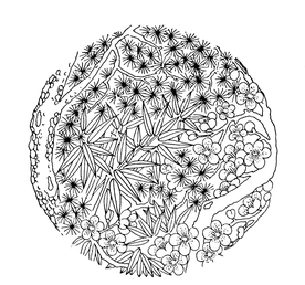 中国古典元素 中国元素 吉祥元