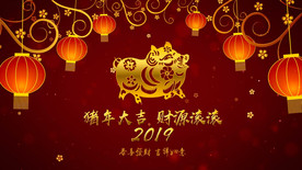 2019猪年新年小视频AE模板