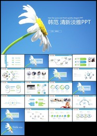 手绘小雏菊清新植物通用总结计划