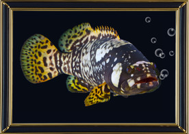 酒店娱乐场所抽象艺术油画背景墙