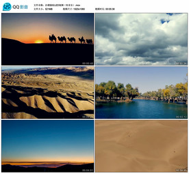 沙漠骆驼 舞台舞美背景视频成品