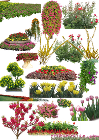 景观花卉psd分层素材