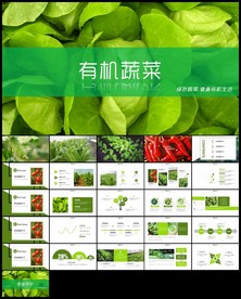天然无公害农产品有机蔬菜ppt