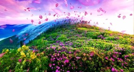 光荣与梦想歌曲MVLED背景