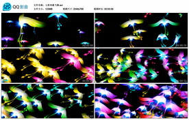 七彩凤凰飞舞 舞台背景视频素材