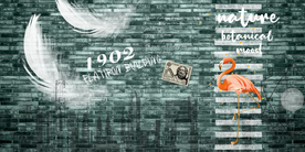 手绘欧式羽毛背景墙