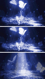 蝴蝶翩翩粒子光海循环背景视频