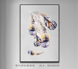 唯美羽毛装饰画