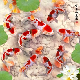 九鱼图