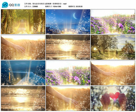 阳光总在风雨后 舞台背景视频