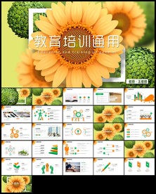 小树成长教育培训课件ppt