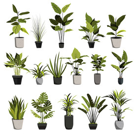 矢量盆栽植物