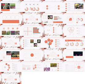 通用补贴新能源产品计划PPT