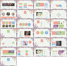 通用补贴新能源产品计划PPT