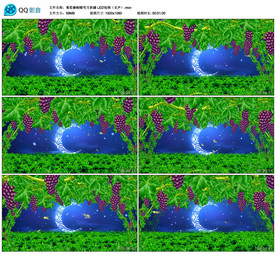 葡萄蝴蝶弯月新疆 舞台背景视频