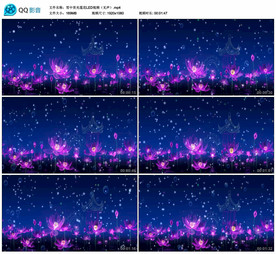 雪中荧光莲花 舞台背景视频素材
