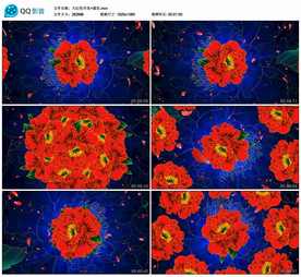 大红喜庆牡丹花朵 舞台背景视频