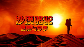 沙漠骆驼歌曲背景