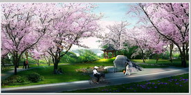 樱花步道景观设计效果图