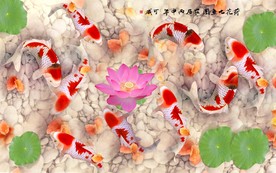 富贵九鱼图背景墙