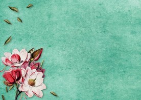 山茶花花纹背景