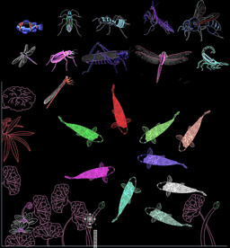 昆虫动物CAD图库