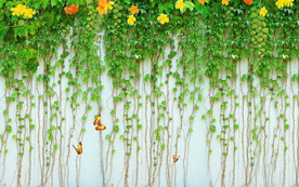 清新花藤砖墙电视背景墙