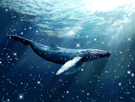 海底世界星光海豚背景墙