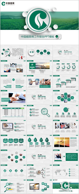 中国烟草公司PPT