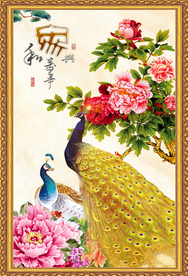 孔雀牡丹图