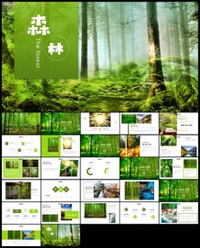 环境保护生态森林森业PPT