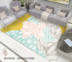 居家客厅时尚地毯北欧地垫