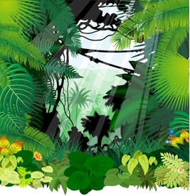 森林风景插画插图