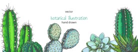 仙人掌插画插图