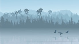 山林风景插画插图