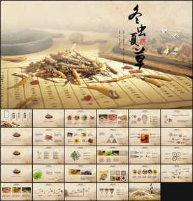 冬虫夏草PPT模板